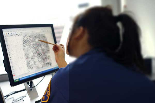 Undergrad Cert., Forensics