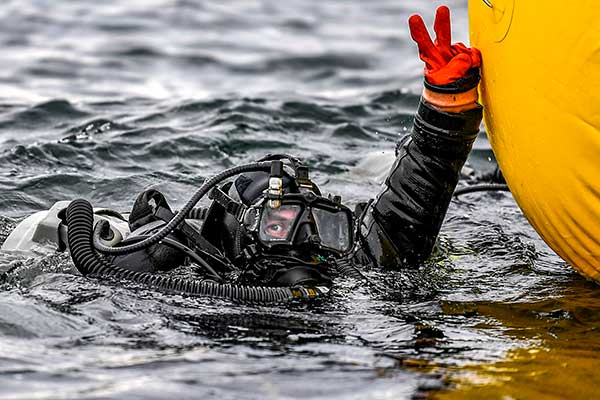 BA, Homeland Security